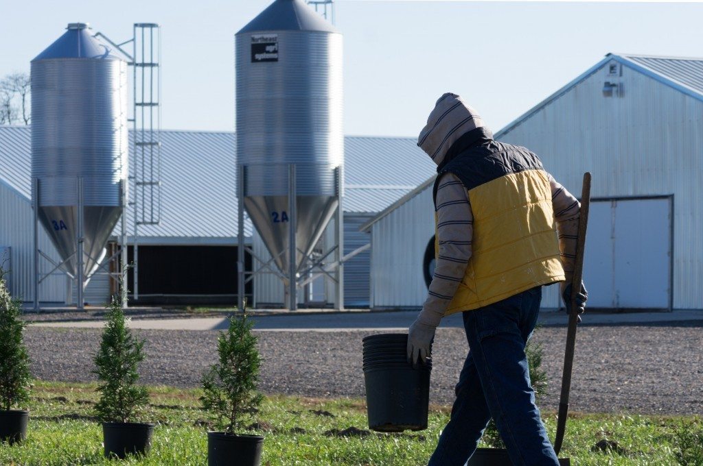 Chicken Growers Make Good Neighbors by Raising Chickens, Planting