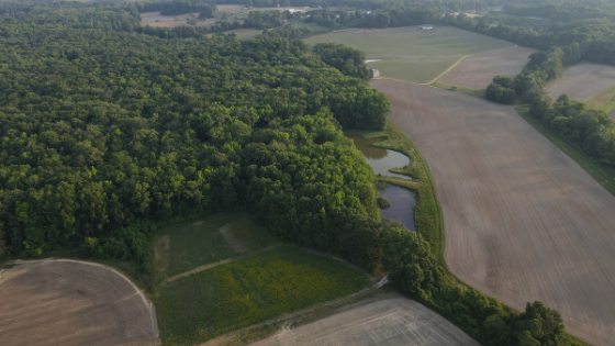 Conservation Practices Protect Maryland’s Natural Resources