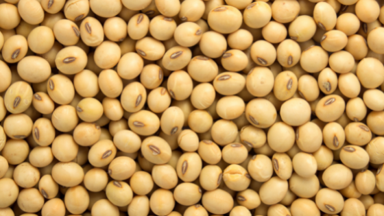 You Won’t Believe What Soybeans Can Make - My Maryland Farmers