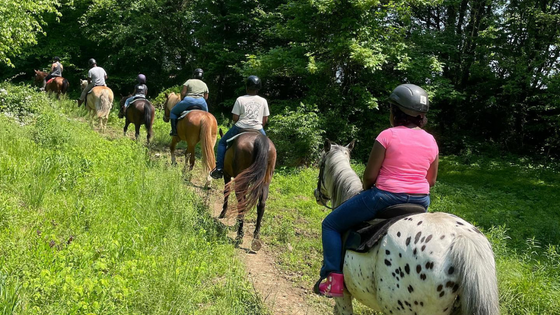Saddle Up! Maryland’s Horse Trails Await!
