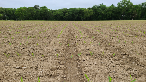 Digging Deep into Farming Soil
